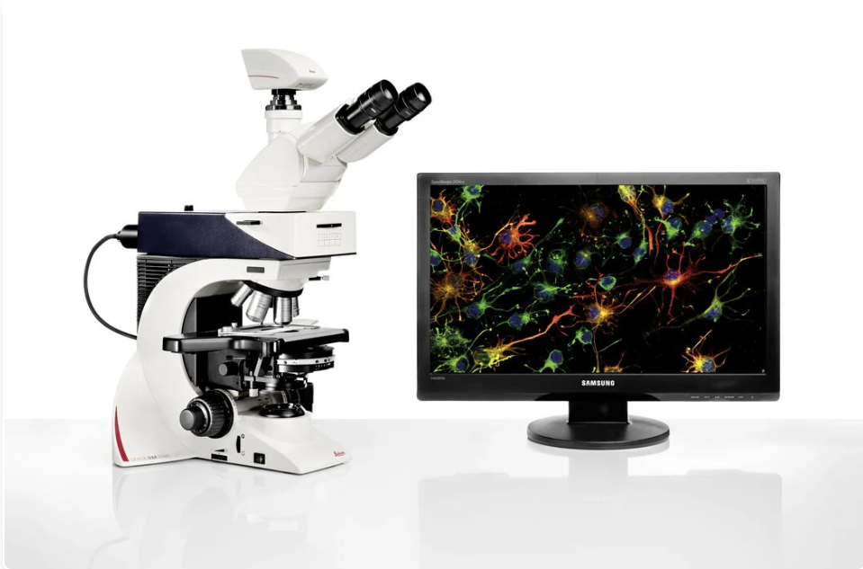 MICROSCOPY
