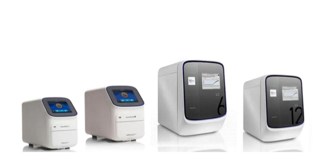 REAL TIME PCR